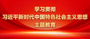 我要操逼网址学习贯彻习近平新时代中国特色社会主义思想主题教育_fororder_ad-371X160(2)